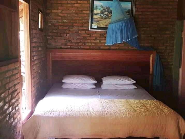 Thousand Hills Ketambe ,Room And Treking Lhokuenam Εξωτερικό φωτογραφία